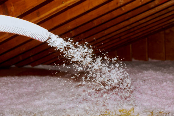 Best Insulation Contractors for Homes  in Boling, TX